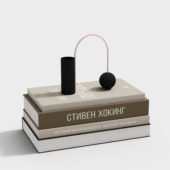 Modern Book And Ornament Combination Display