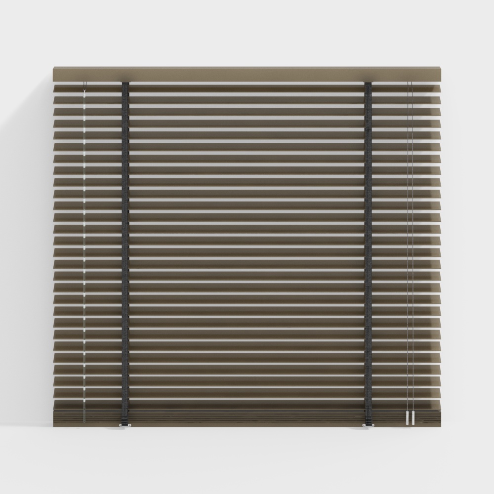 Venetian Blinds