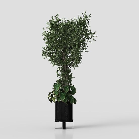 Lifelike Indoor Plant 3D Model for Creative Spaces