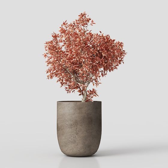Autumn Potted Plant 3D model