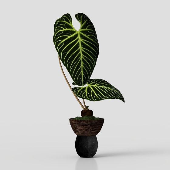 Бонсай в стиле середины века Ваби-Саби