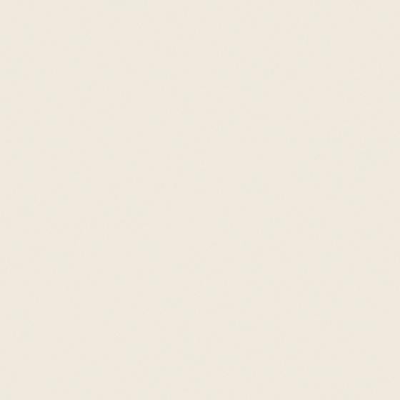 NP OW 1001P-Whispering White