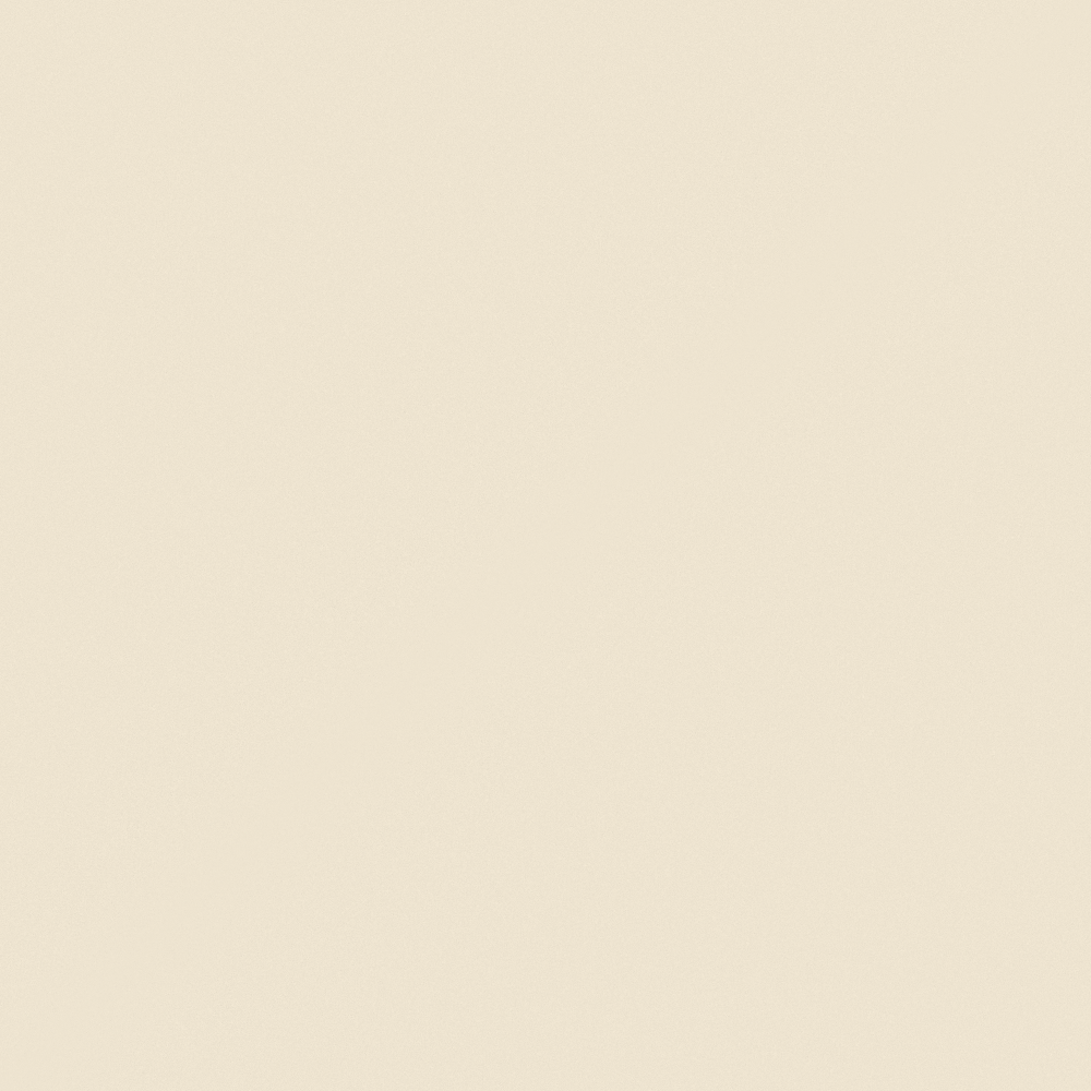 NP OW 2225P-Clean Canvas