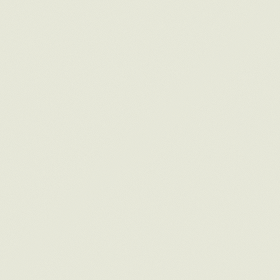 NP OW 2242P-Apple White