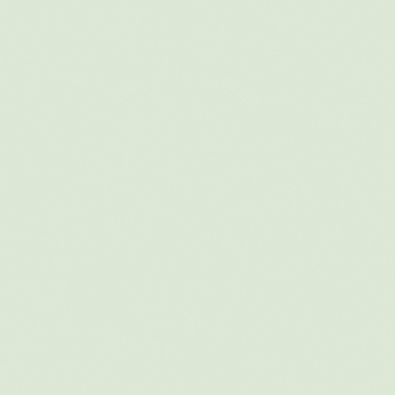 NP OW 1069P-Slight Wift