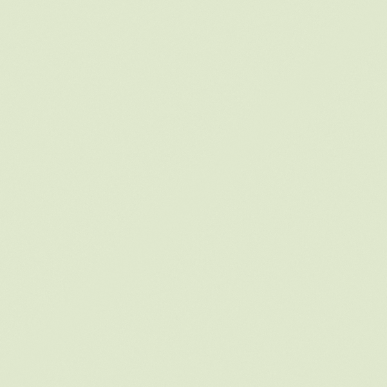 NP OW 1073P-Green Pass