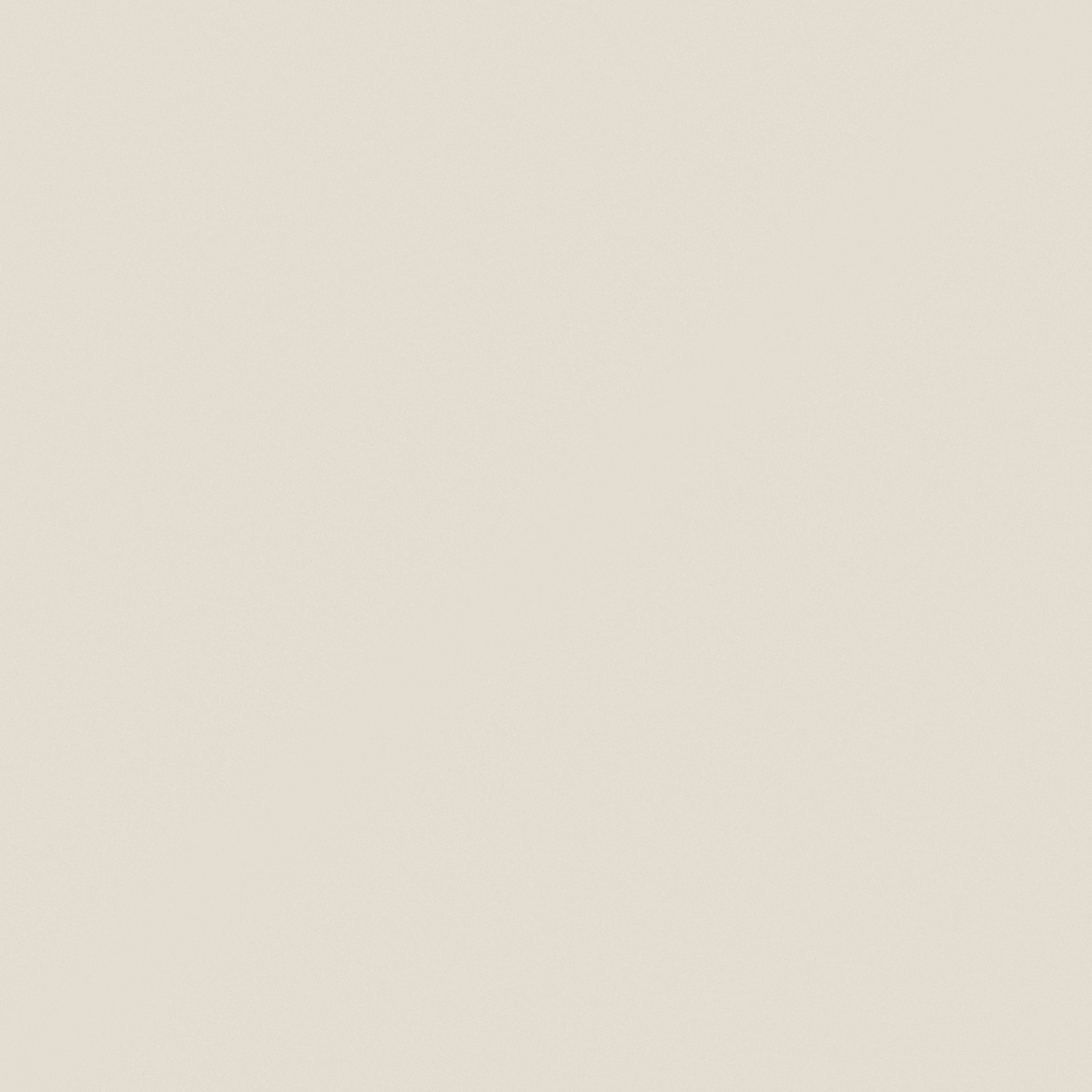 NP OW 1007P-Intimate White