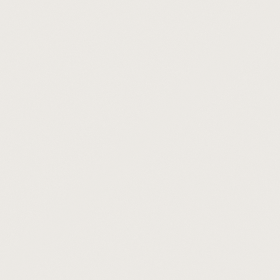 NP OW 2210P-Snow Flakes