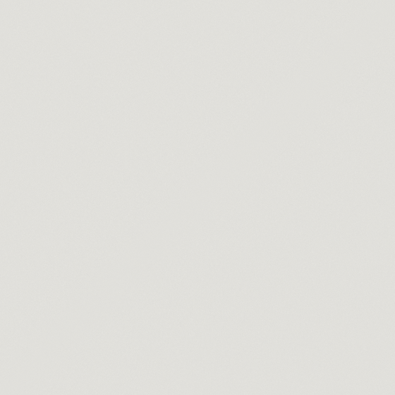 NP OW 2148P-Frosted Tip