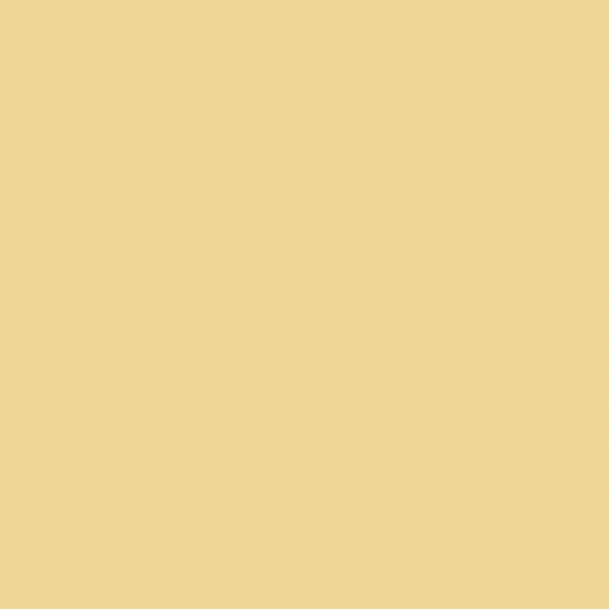 NP YO 2500T-Truffle Fries