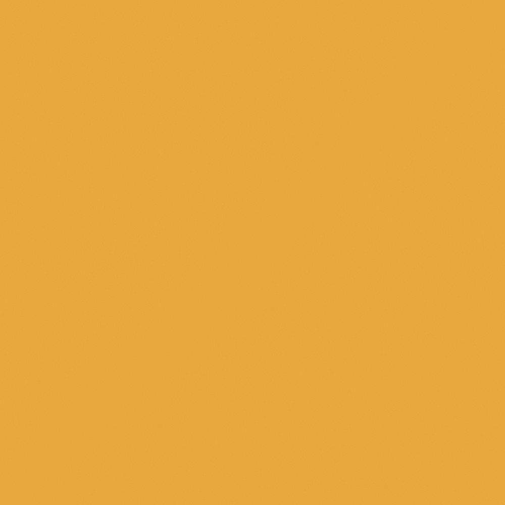 NP YO 2497A-Royal Pavilion