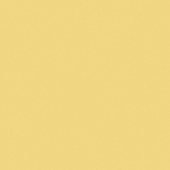 NP YO 1129T-Glory Yellow