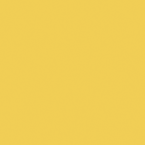 NP YO 1120D-Sassy Yellow