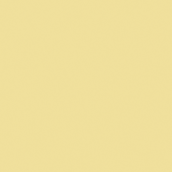 NP YO 2526P-Make My Day