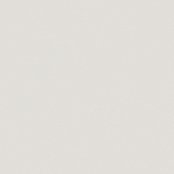 NP OW 2175P-Snow Skin