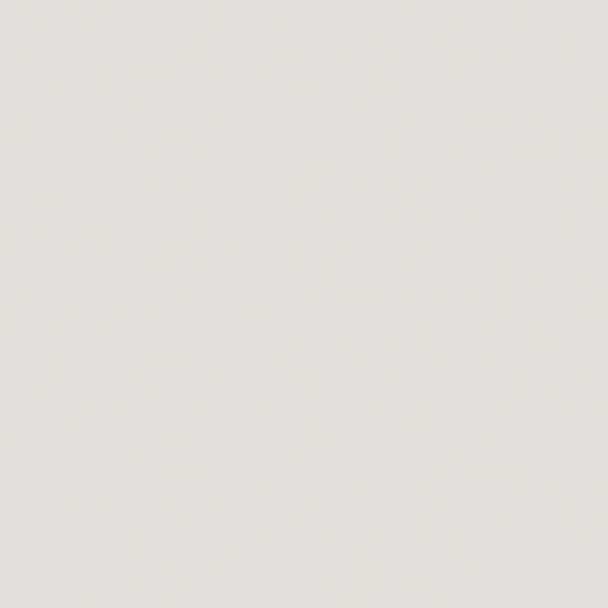 NP OW 2176P-Glass Slipper