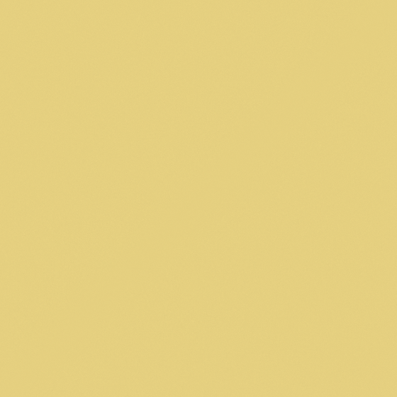 NP YO 2538T-Golden Slumber