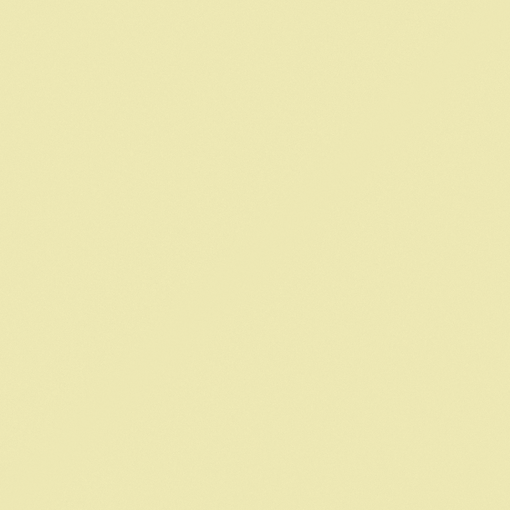 NP YO 2547P-Sunshine Day