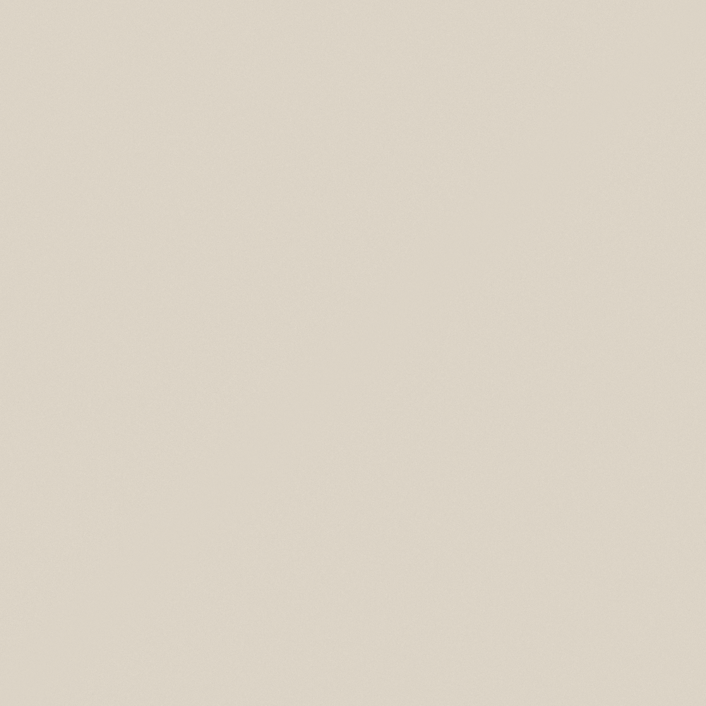 NP OW 2197P Enchanted