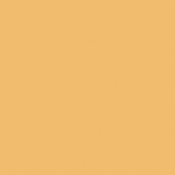 NP YO 2467T Mango Slushee