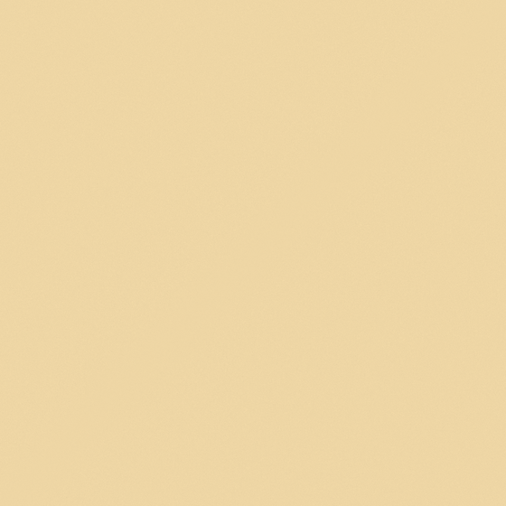 NP YO 1145P-Amber Light