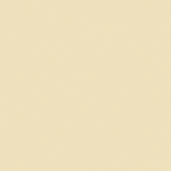 NP YO 2492P-At the Beach