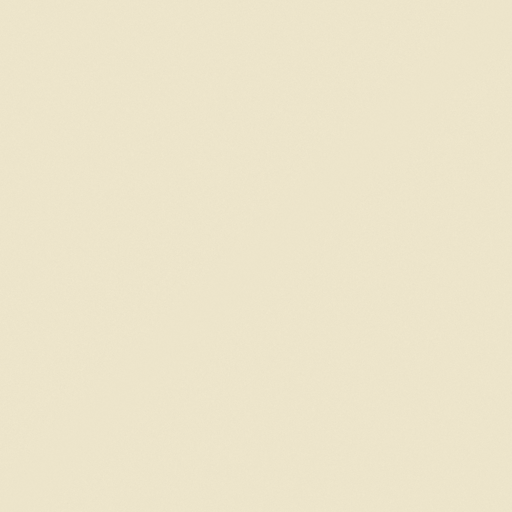 NP YO 2491P-Spirited Away