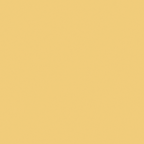 NP YO 1150T-Desert Fire