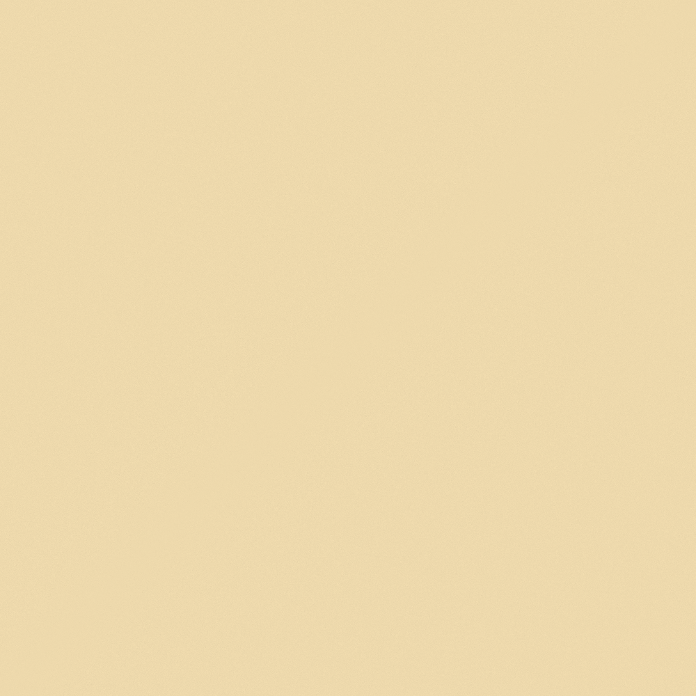 NP YO 2481P-Lotus Bud