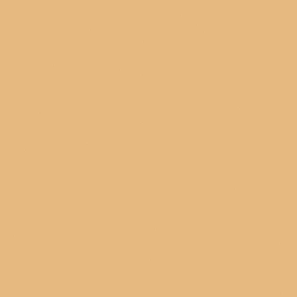 NP YO 2483T-Light Caramel