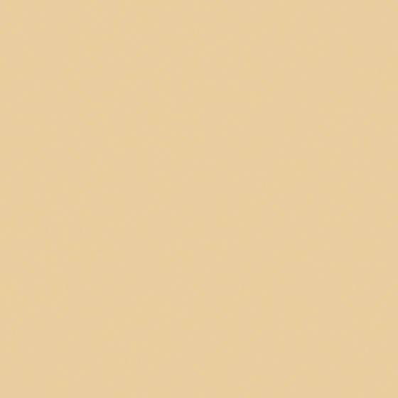 NP YO 2475P-Custard Crème