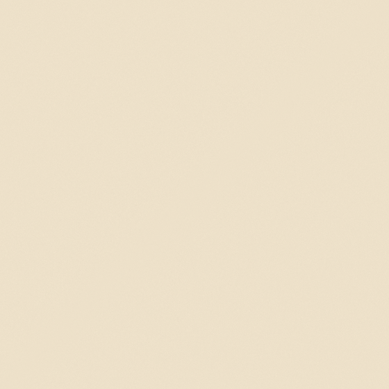 NP YO 2480P-Free Spirited