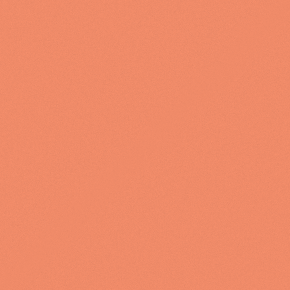 NP YO 2422D Laughing Out Loud