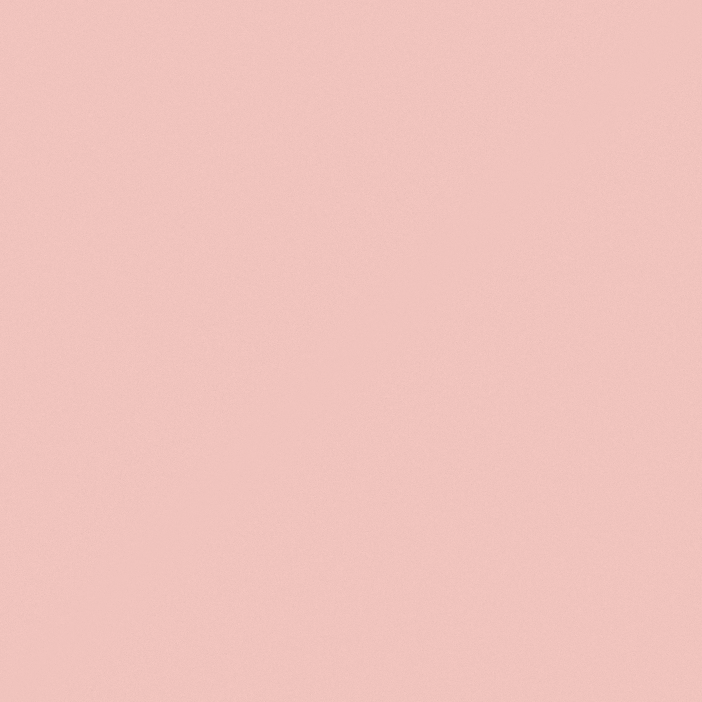NP R 1270P-Pink Stockings