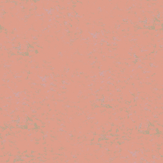 NP R 2376T-Calypso Clay