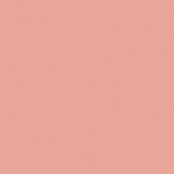 NP R 2366T-Summer Berry