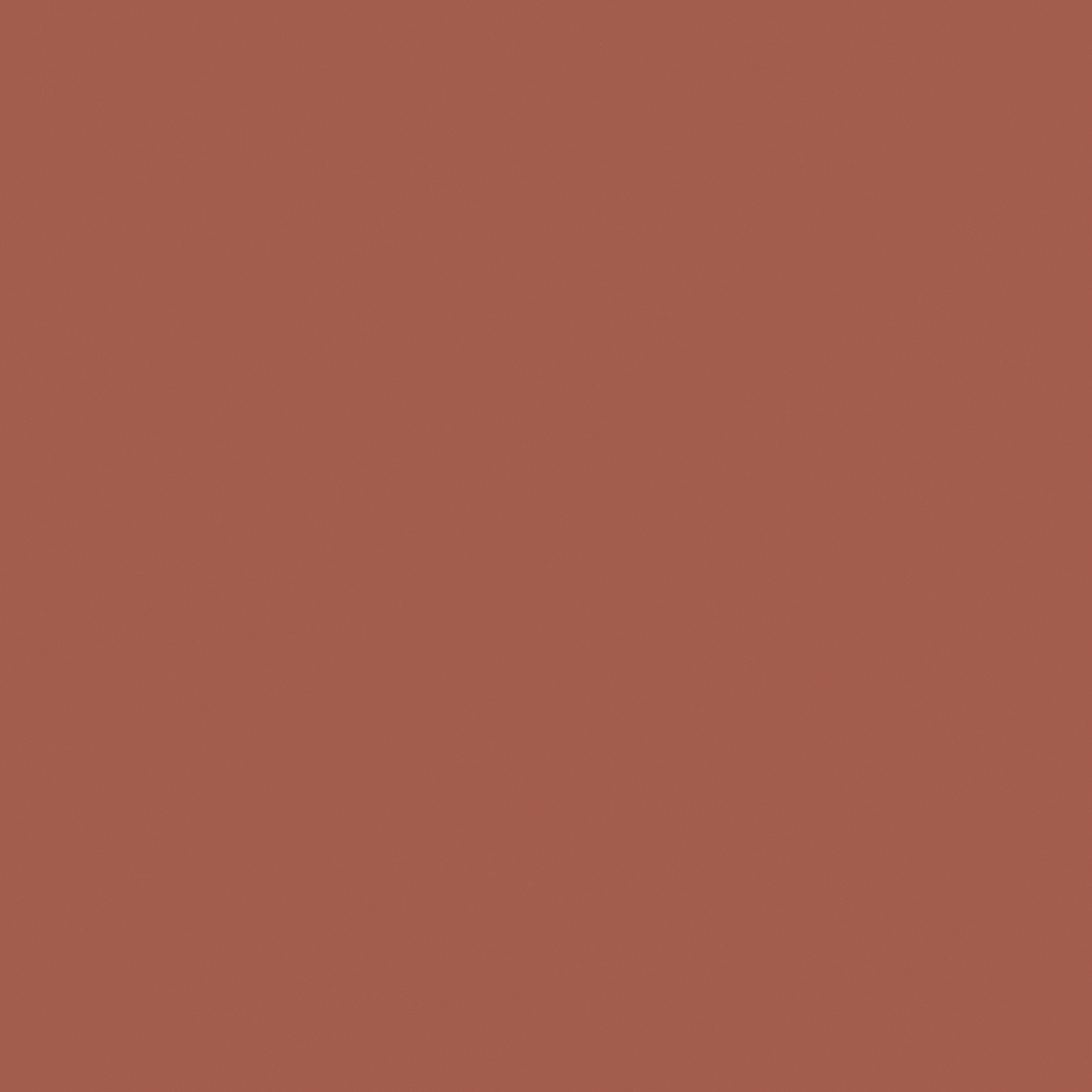 NP R 2373A-Copper Coin