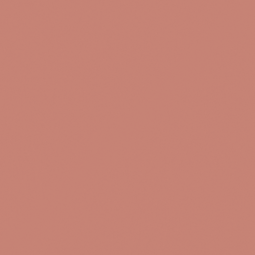 NP R 2372T-Coppery Tone