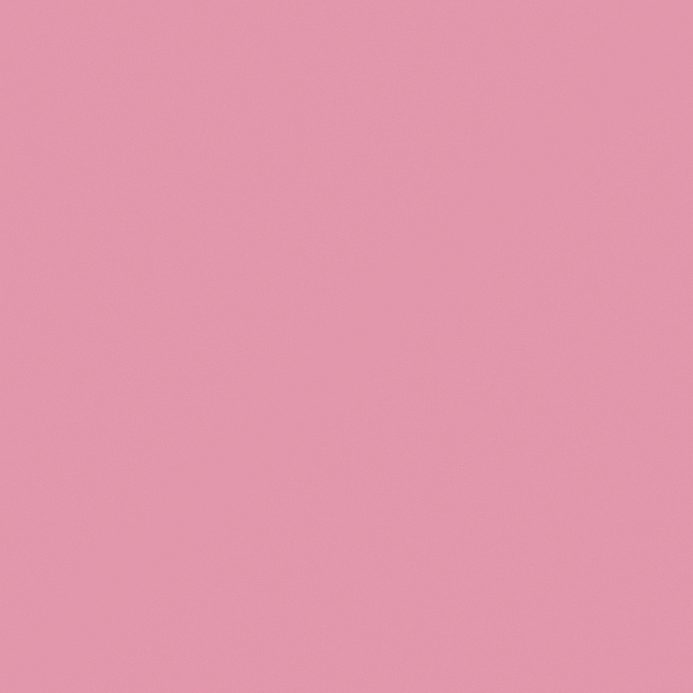NP R 1287T-Peaking Pink
