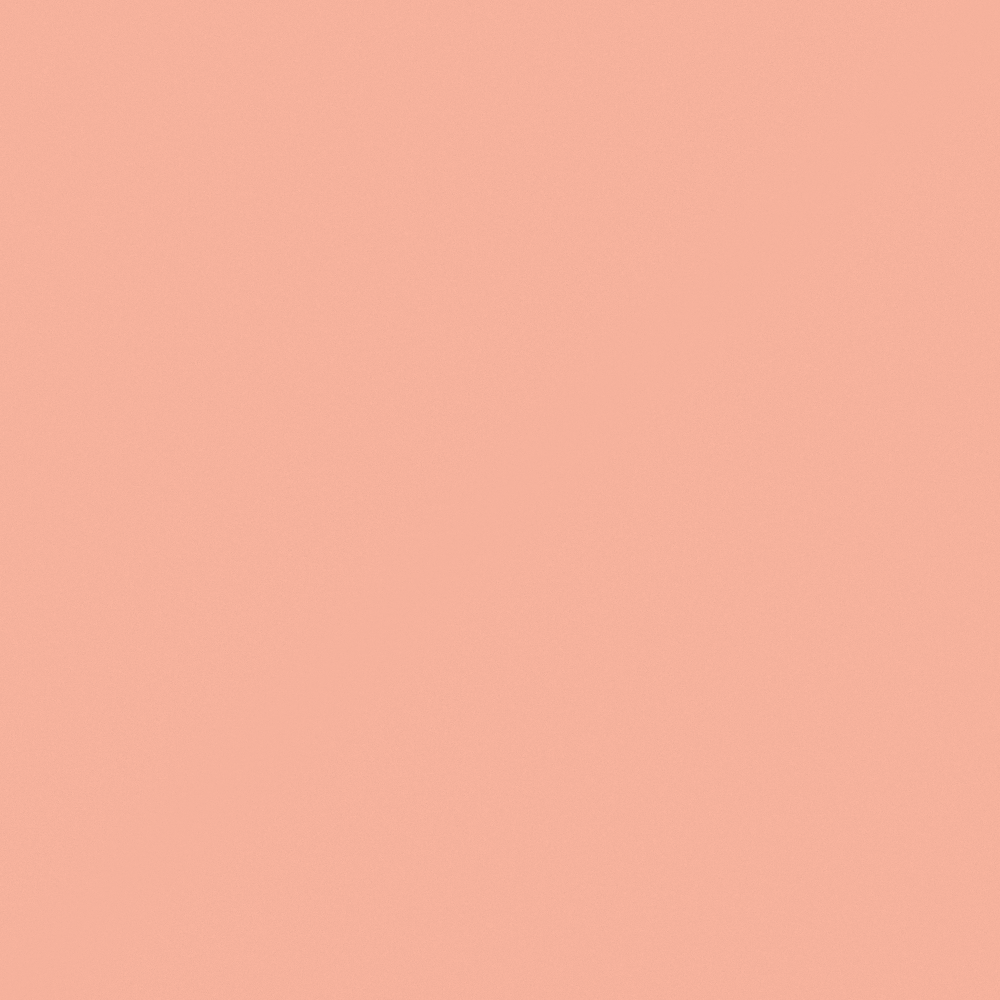 NP YO 1227T-Orange Macaron