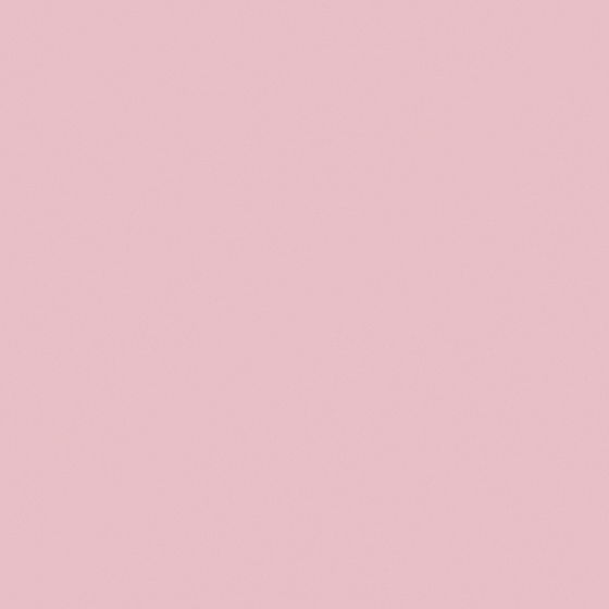 NP R 1341P Grandma's