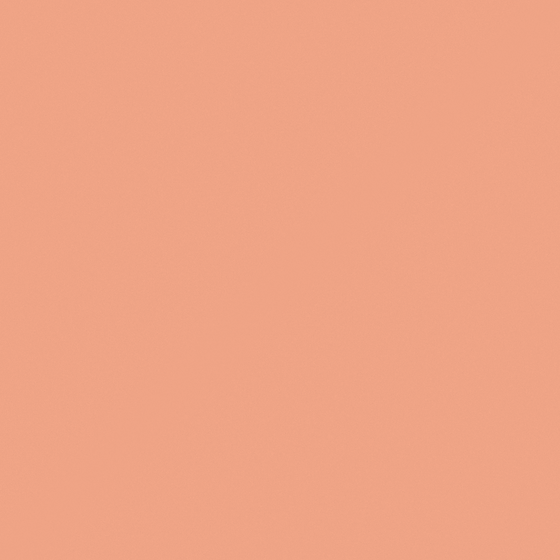 NP YO 2407T-Orange Custard