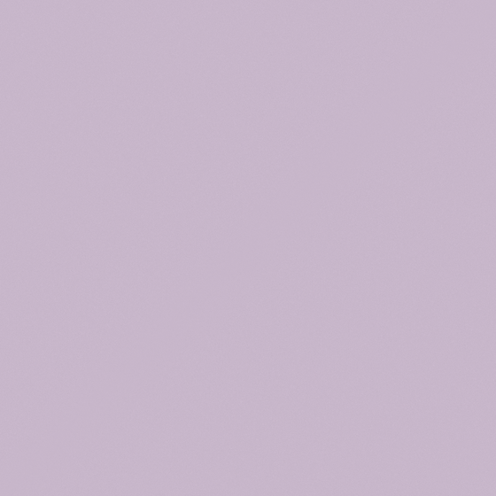 NP PB 1404P-Violet Petal