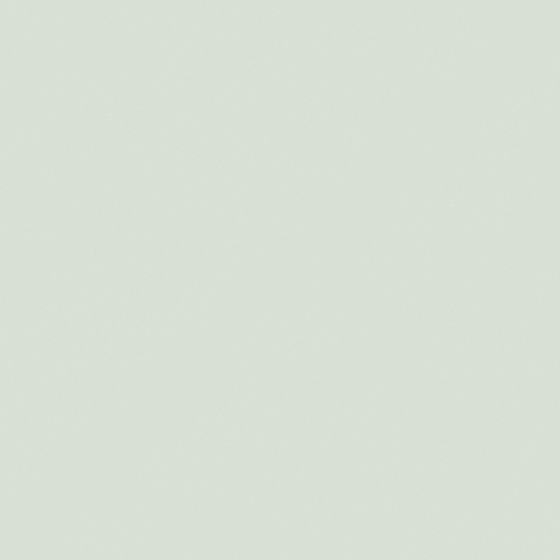 NP BGG 2691P-Winds of Change