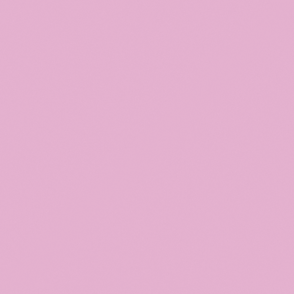 NP R 1311P Pink Berret