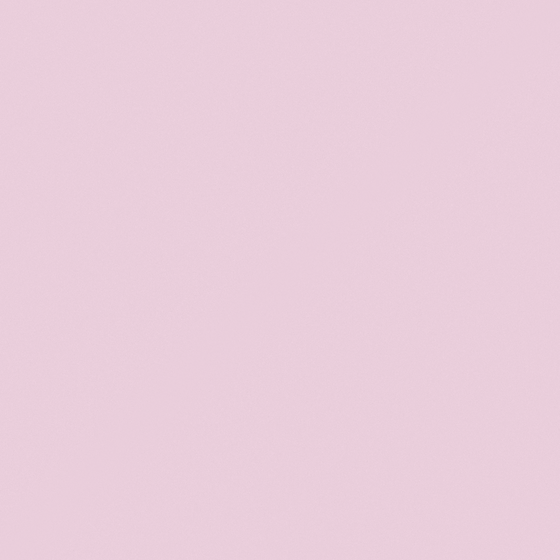 NP R 1312P-Crystal Pink