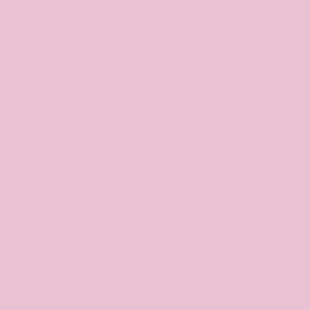 NP R 1299P Strawberry Muffin