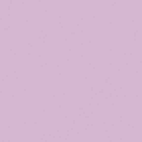 NP PB 1396P-Night Dress