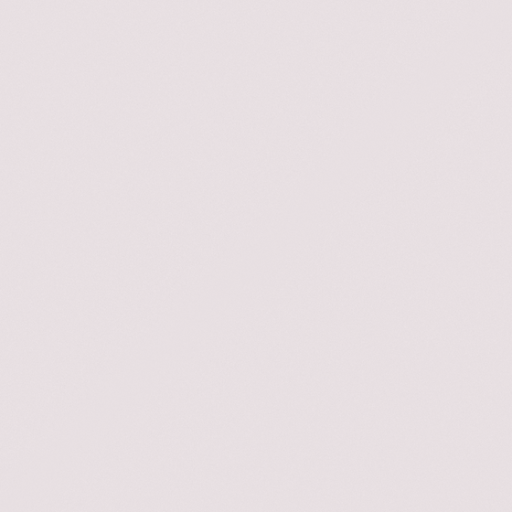 NP PB 2966P-Orchidee