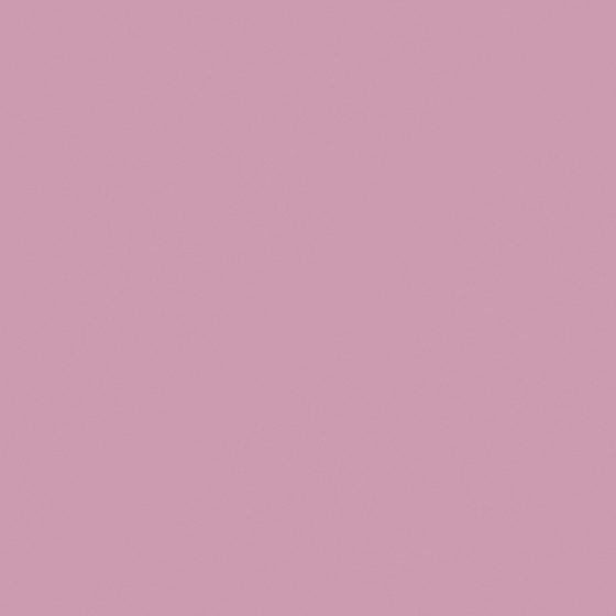 NP R 2298T-Dim Rose